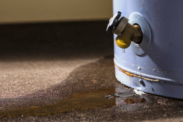 Best Water damage restoration near me  in Nokomis, IL