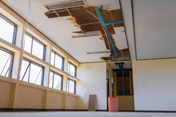 Best Flood damage cleanup  in Nokomis, IL
