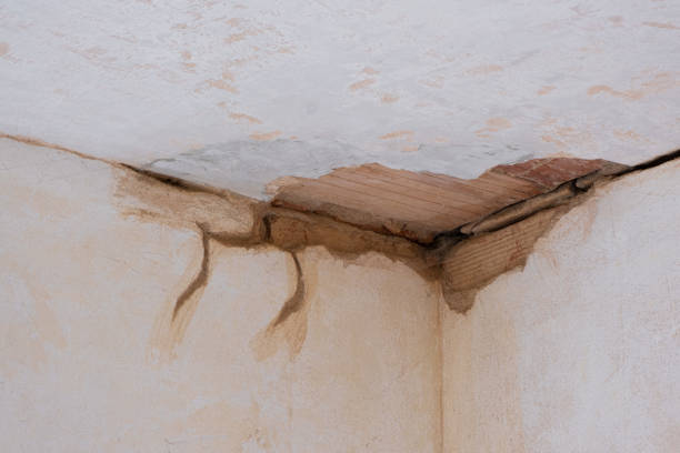 Best Water damage restoration cost  in Nokomis, IL