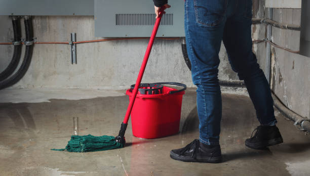  Nokomis, IL Water damage restoration Pros