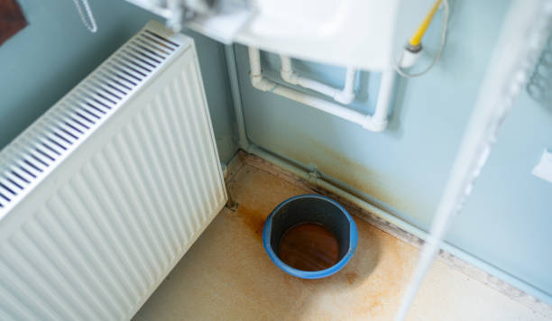 Best Water damage restoration insurance claims  in Nokomis, IL