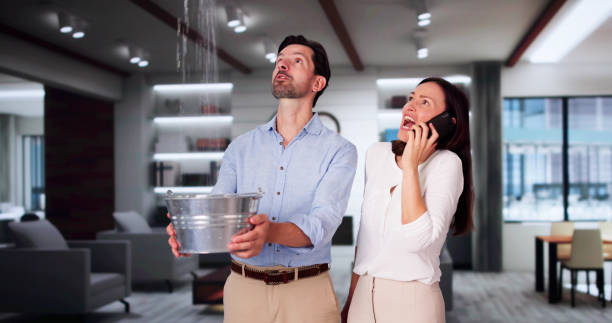 Best Fire Damage Restoration  in Nokomis, IL