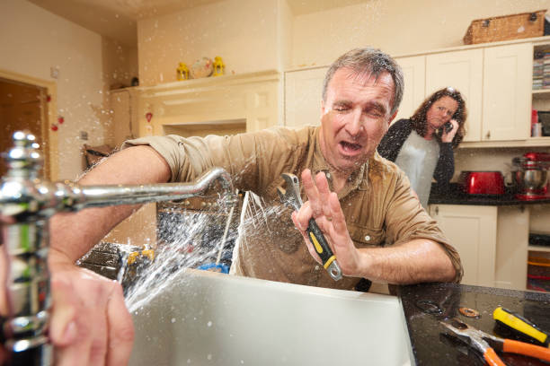 Best 24/7 water damage repair  in Nokomis, IL